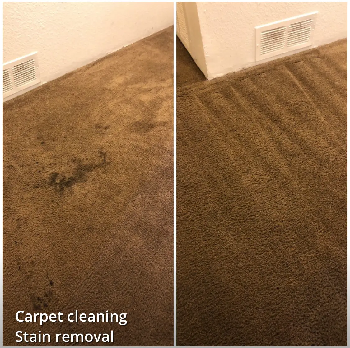 Best carpet cleaning companies near me Phoenix AZ