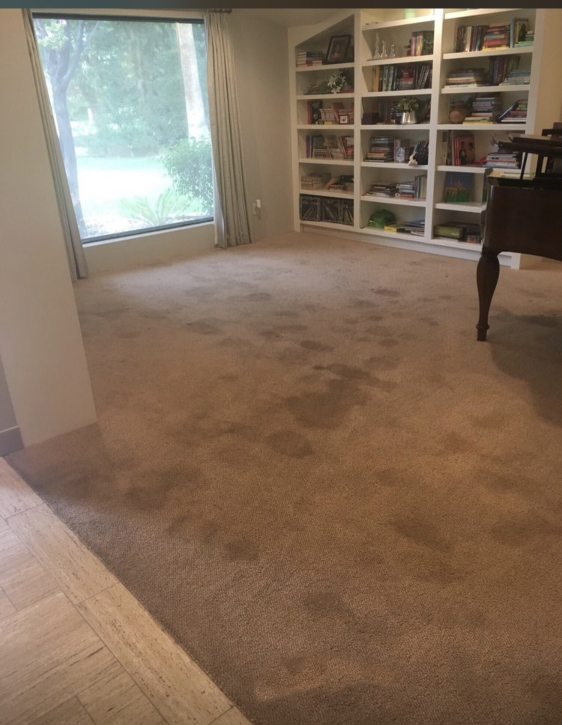 carpet cleaning phoenix before and after photos