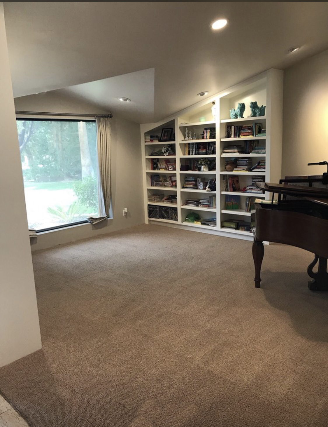 carpet cleaning phoenix before and after pictures