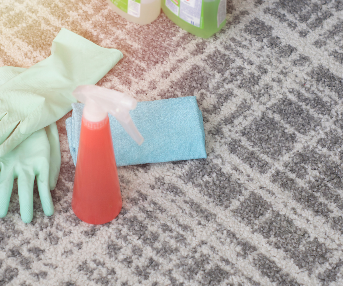 Pet Stain & Odor Removal Phoenix, AZ