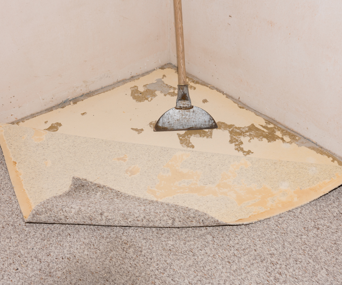 Fresh Floors Matter More When Pets Share The Space_