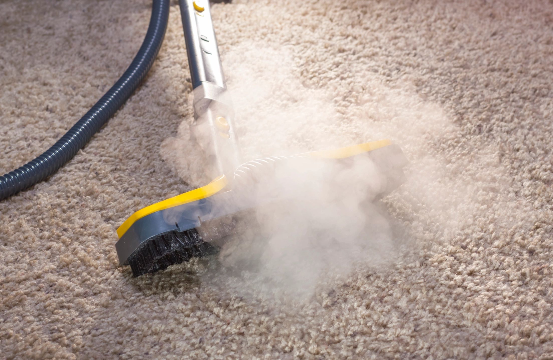 A steam cleaner with a yellow and black brush attachment emits visible steam while cleaning a beige carpet.
